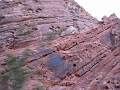 Las Vegas 2010 - Valley of Fire 1391